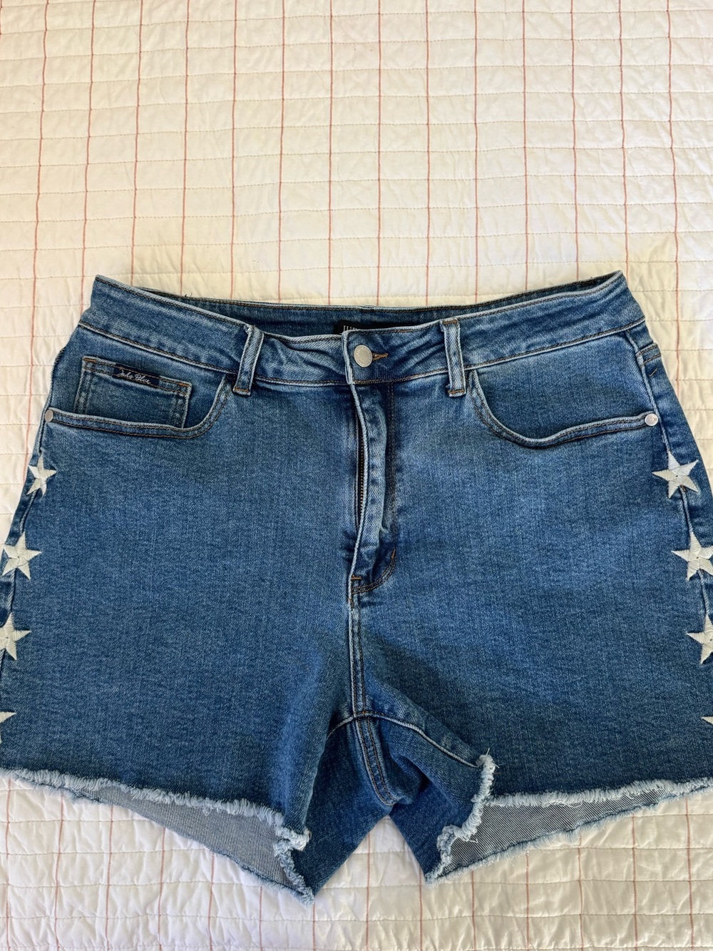 Judy Blue Denim Shorts Sz: 1XL Embroidered Blue Stretch Raw Hem High Rise Jeans